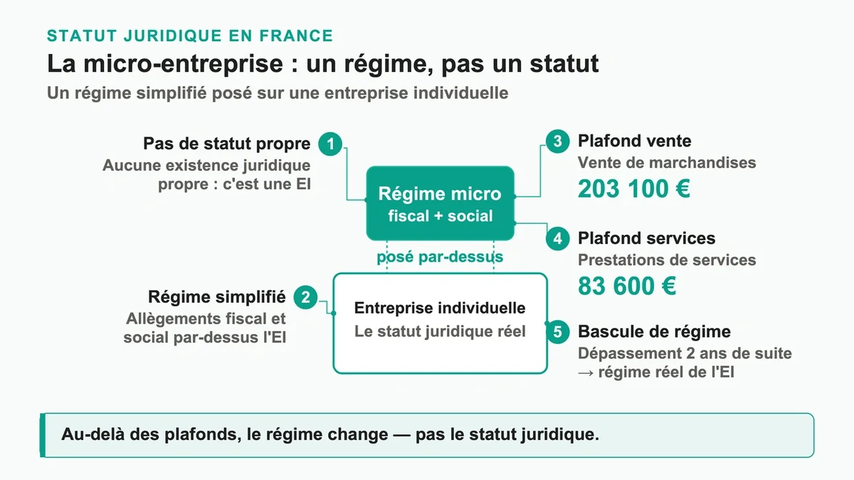 Graphique illustrant les plafonds de chiffre d'affaires pour les micro-entrepreneurs en France